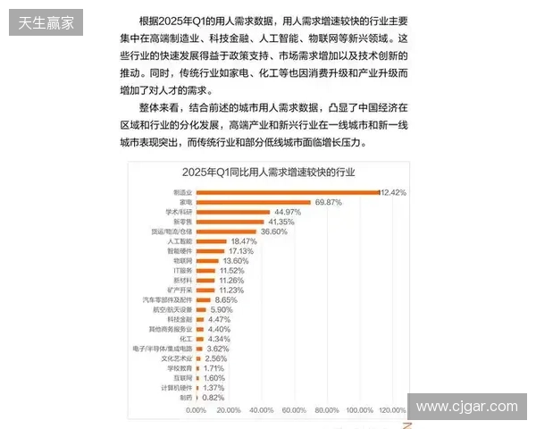 2025年12月虚拟局域网游戏联机方案综合评估报告